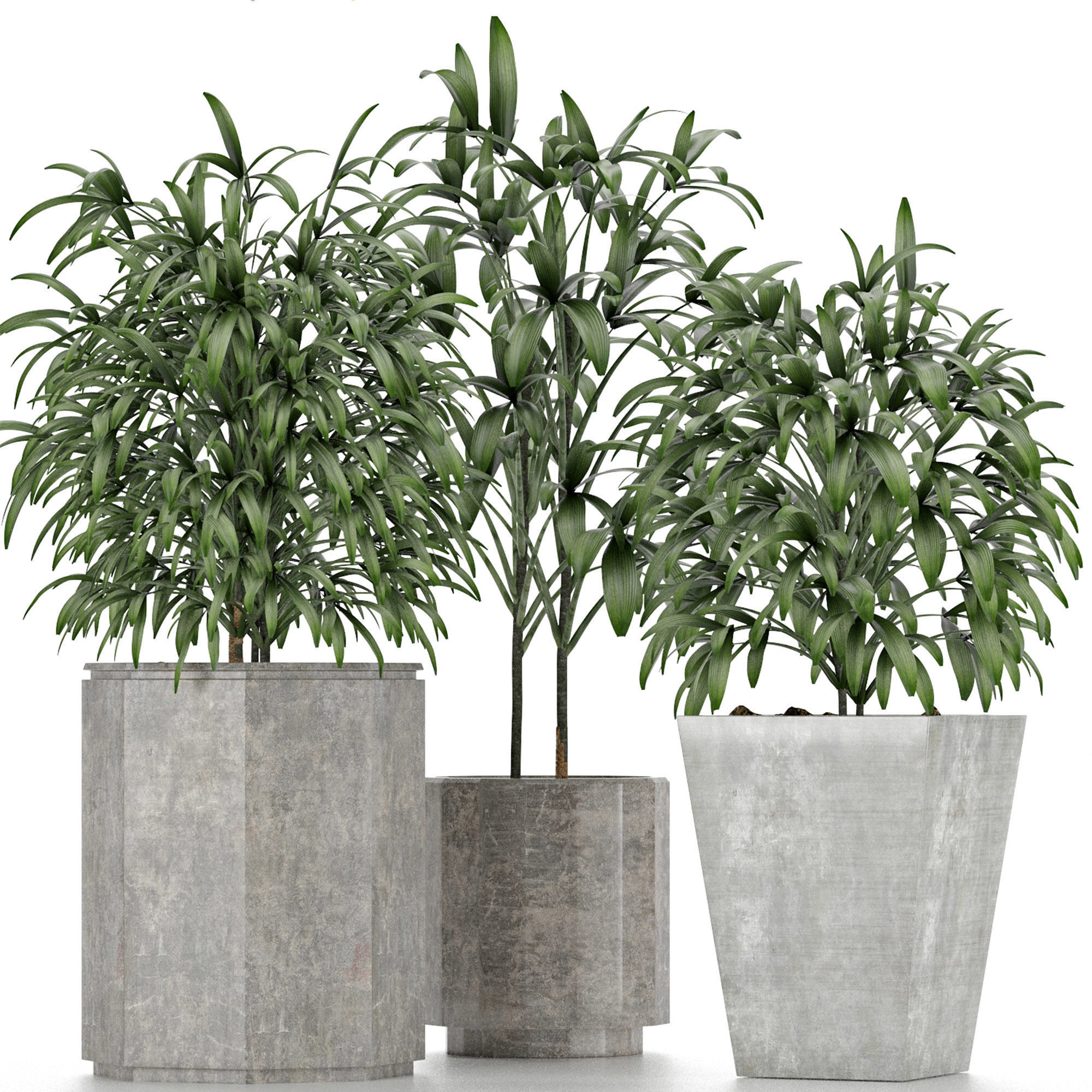 Plants Collection 09 3D model_2