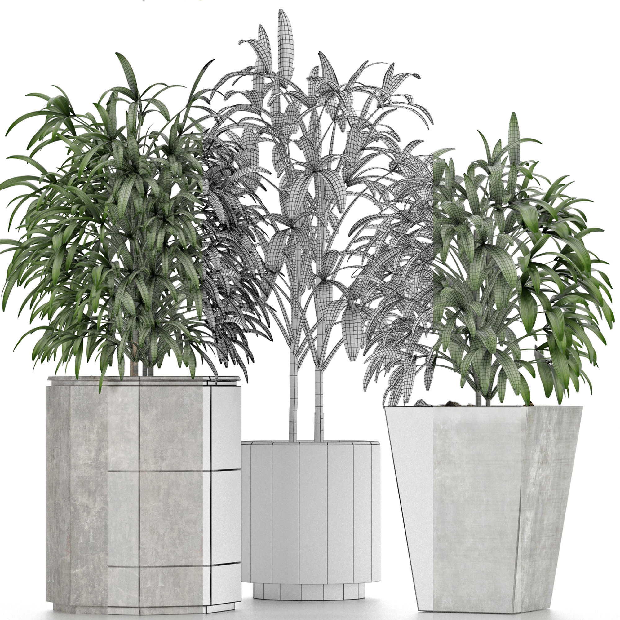 Plants Collection 09 3D model_7