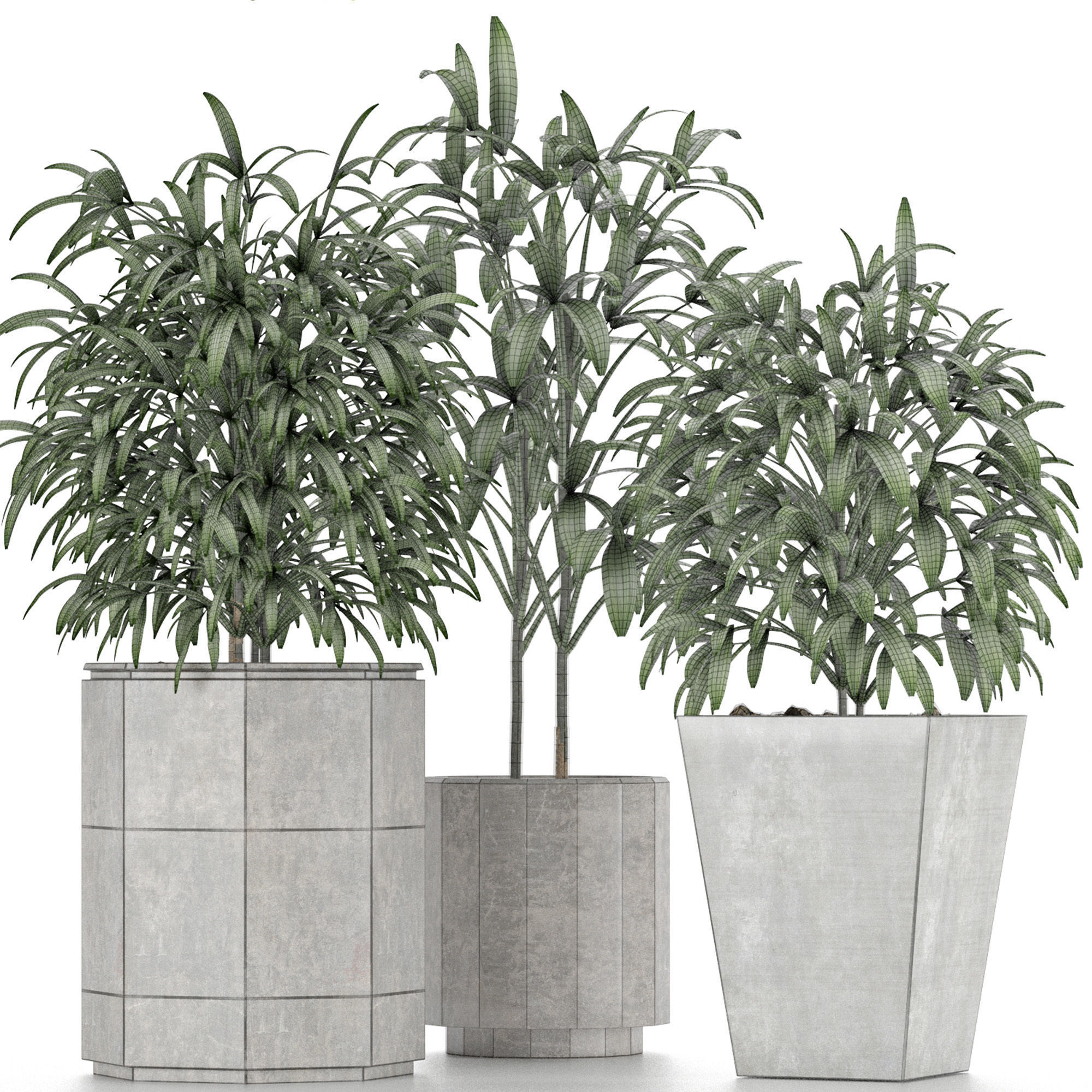 Plants Collection 09 3D model_6