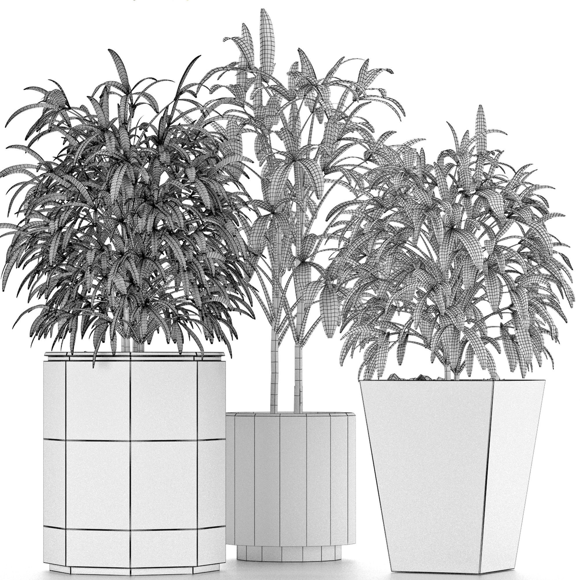 Plants Collection 09 3D model_4