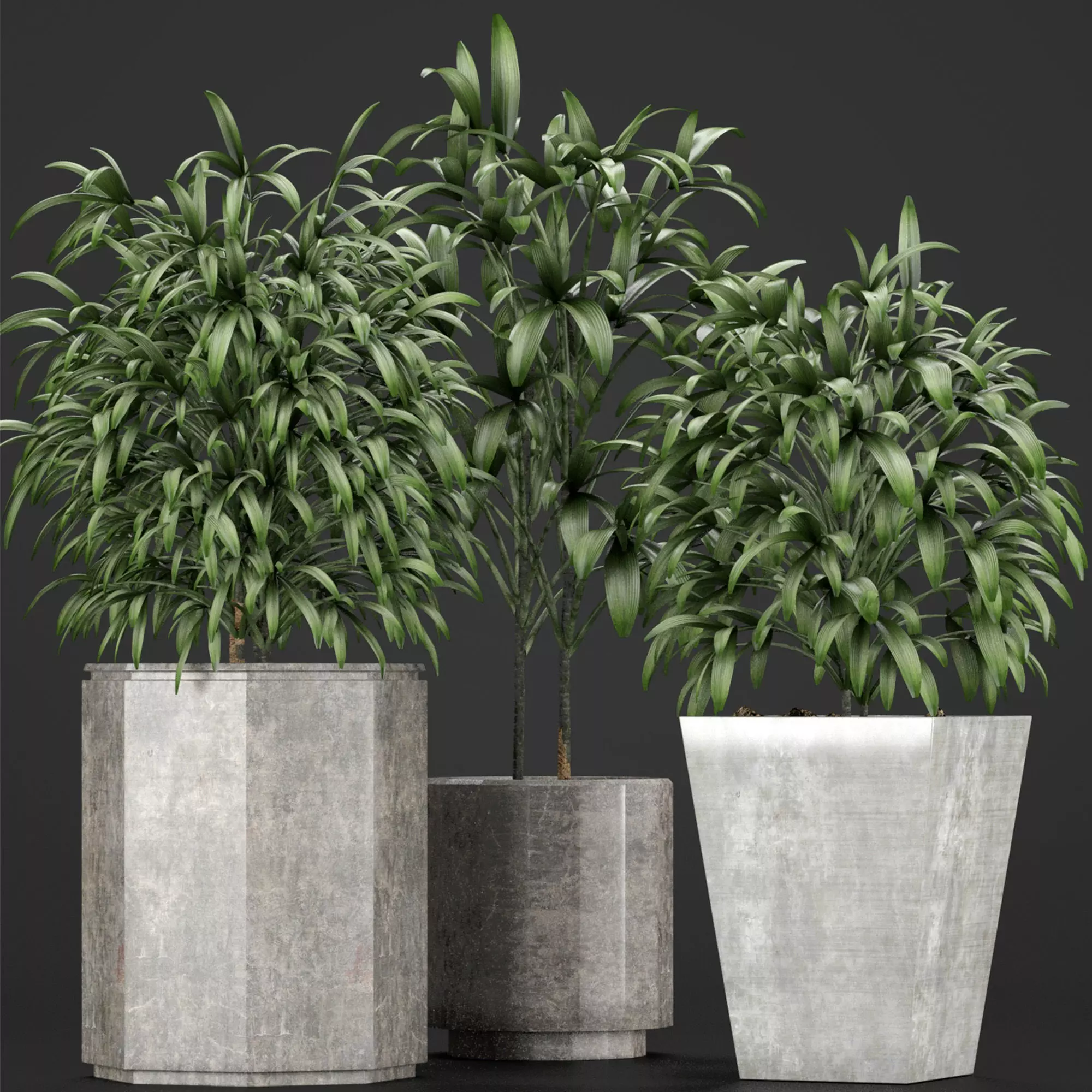 Plants Collection 09 3D model_0