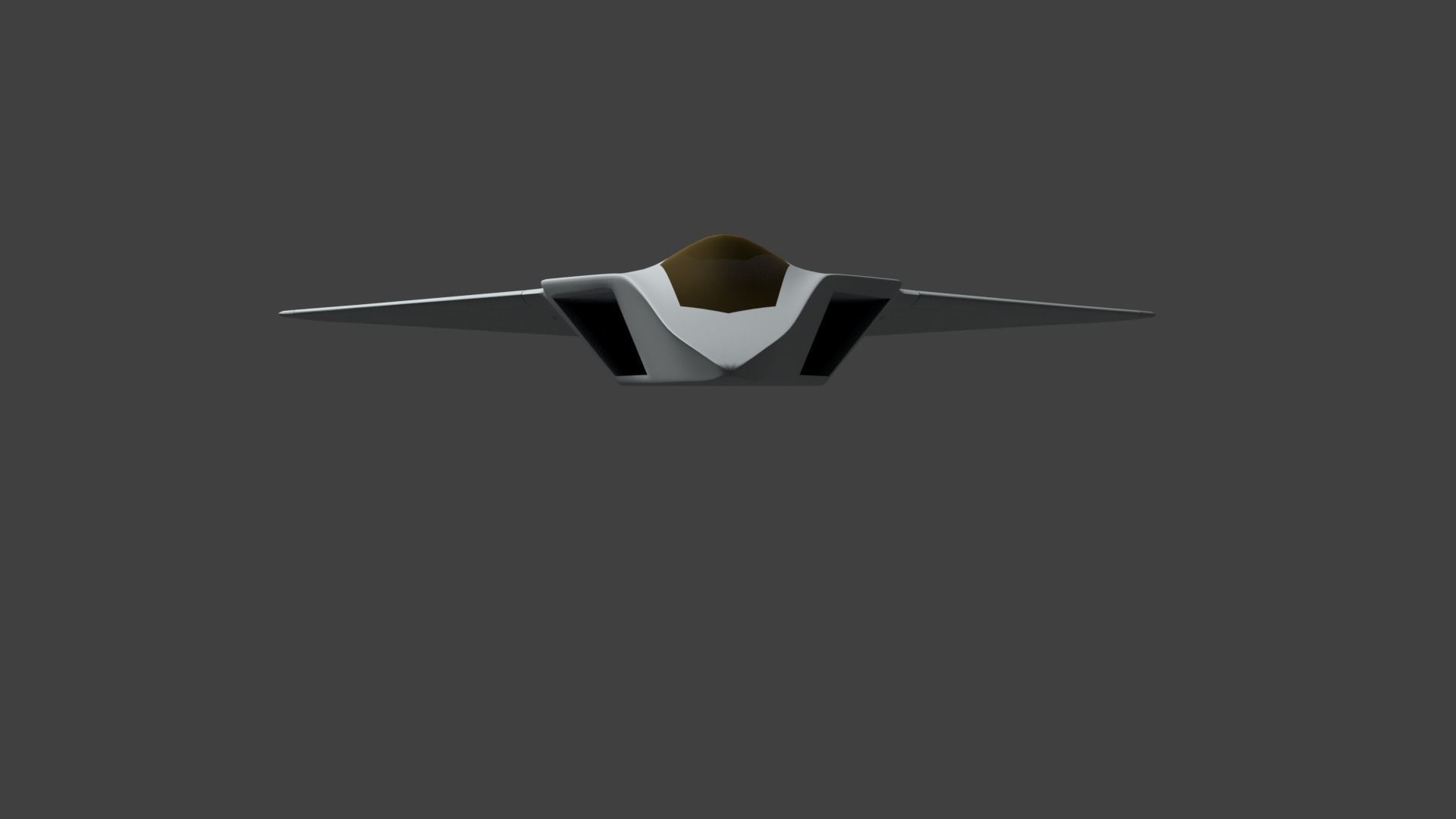 Sixth generation stealth fighter Light and Smart 3D model_4