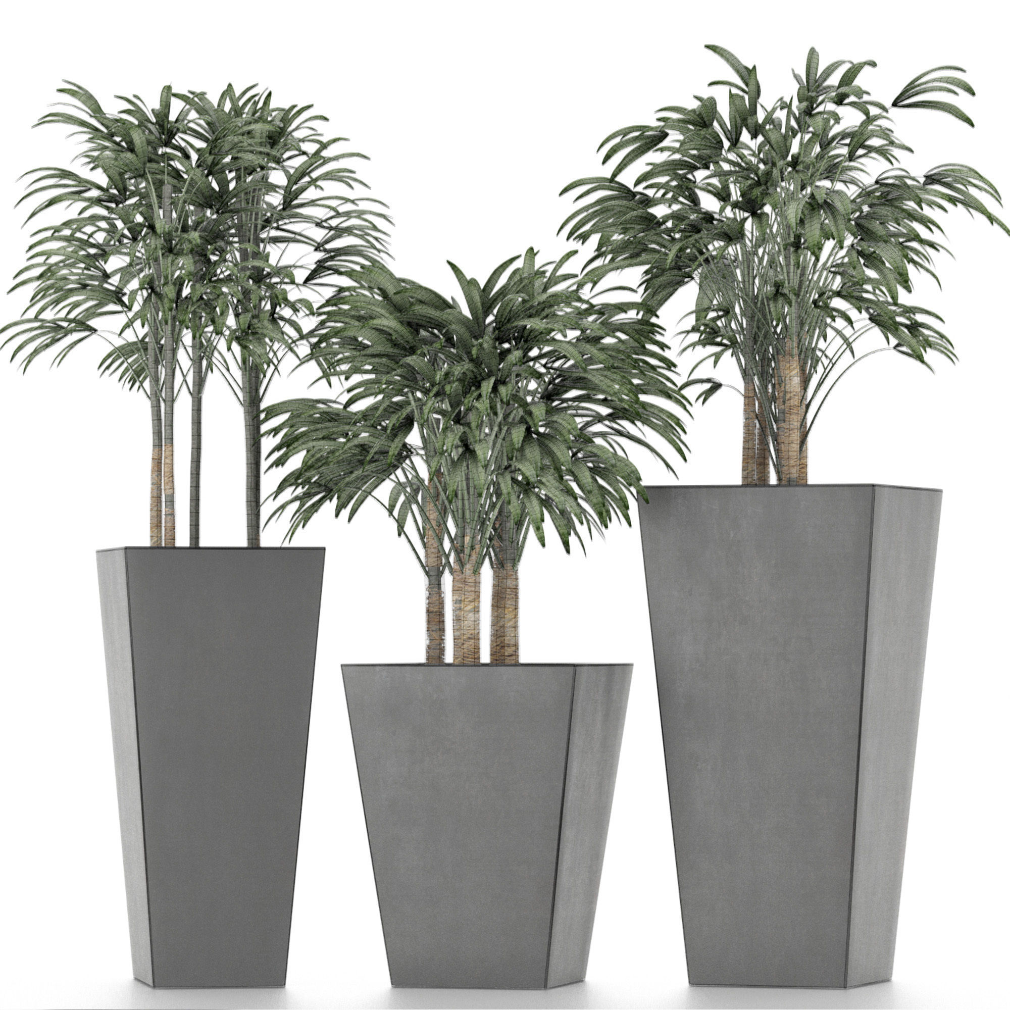 Plants Collection 10 3D model_6