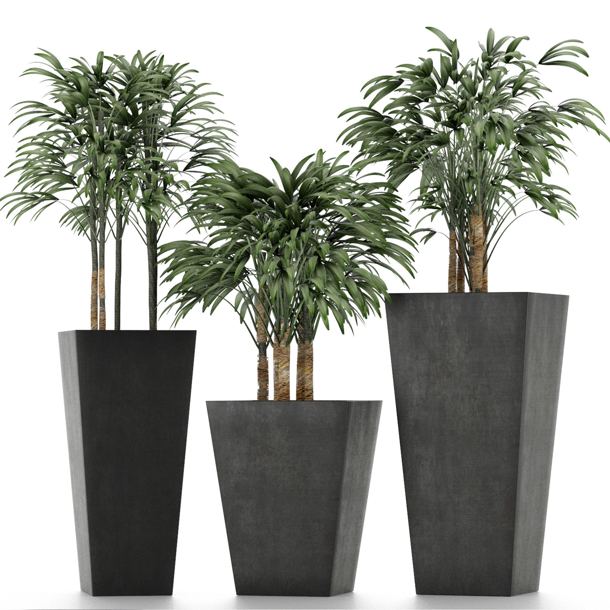 Plants Collection 10 3D model_2