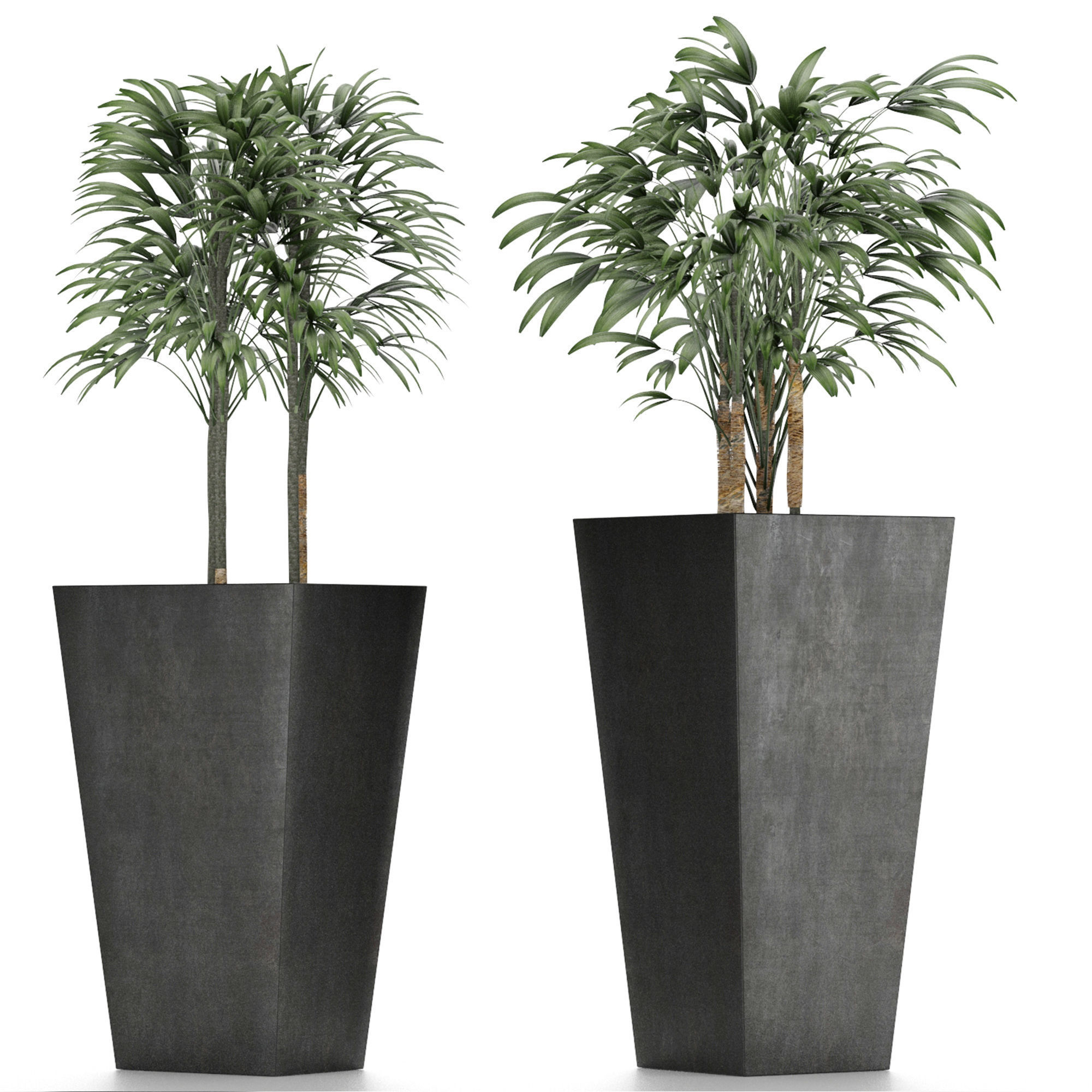 Plants Collection 10 3D model_4