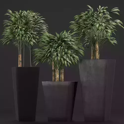 Plants Collection 10 3D model