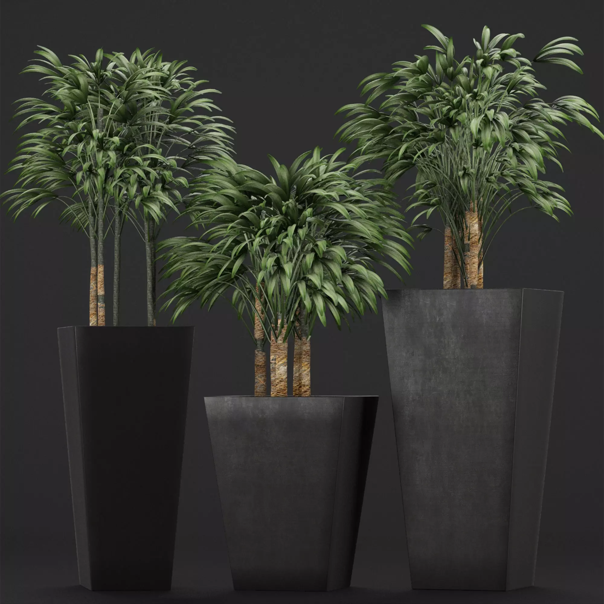 Plants Collection 10 3D model_0