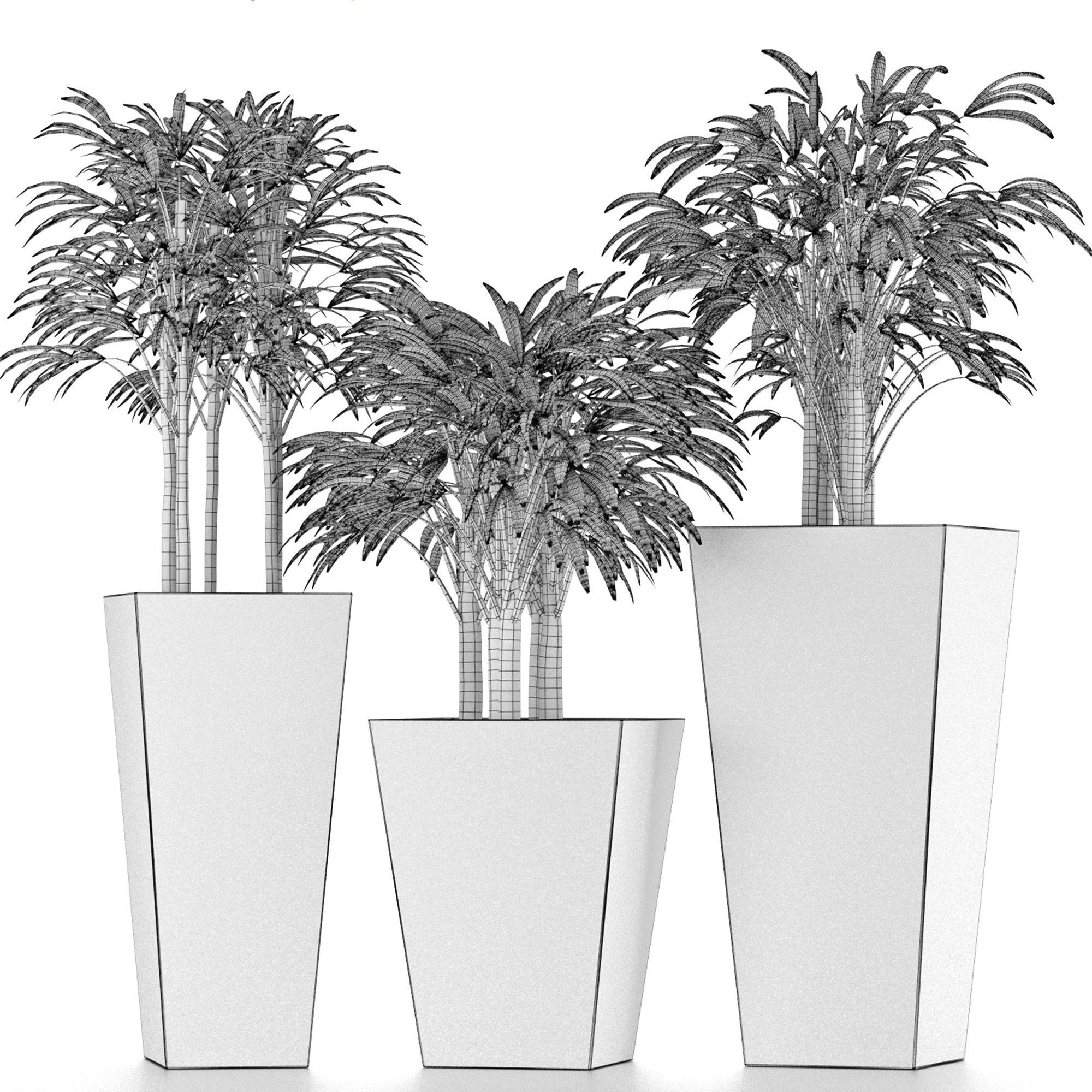 Plants Collection 10 3D model_5