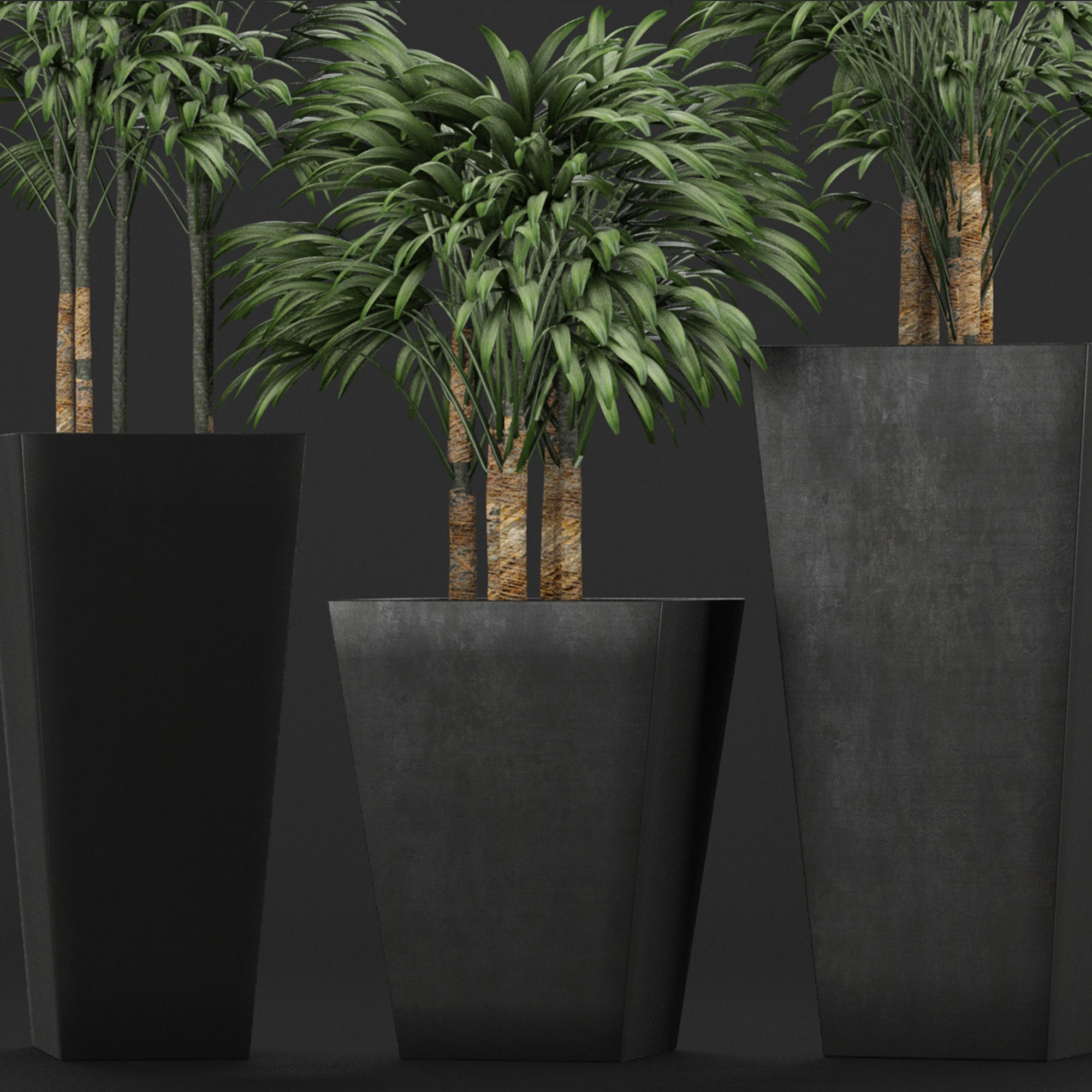 Plants Collection 10 3D model_1