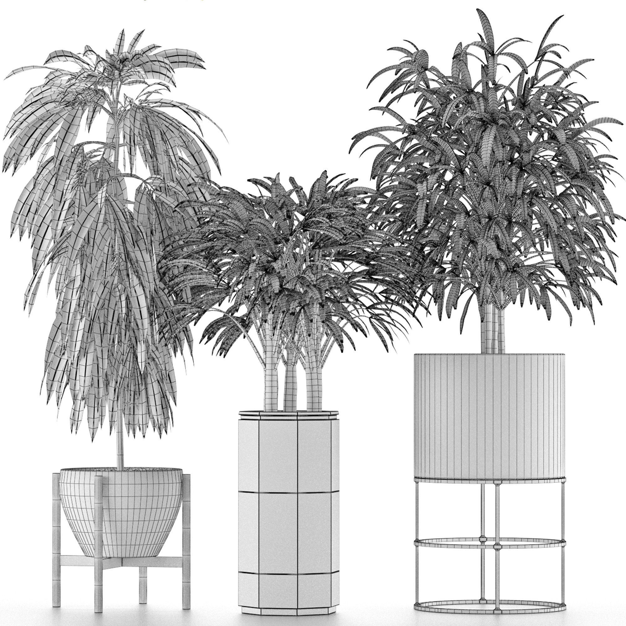 Plants Collection 12 3D model_5