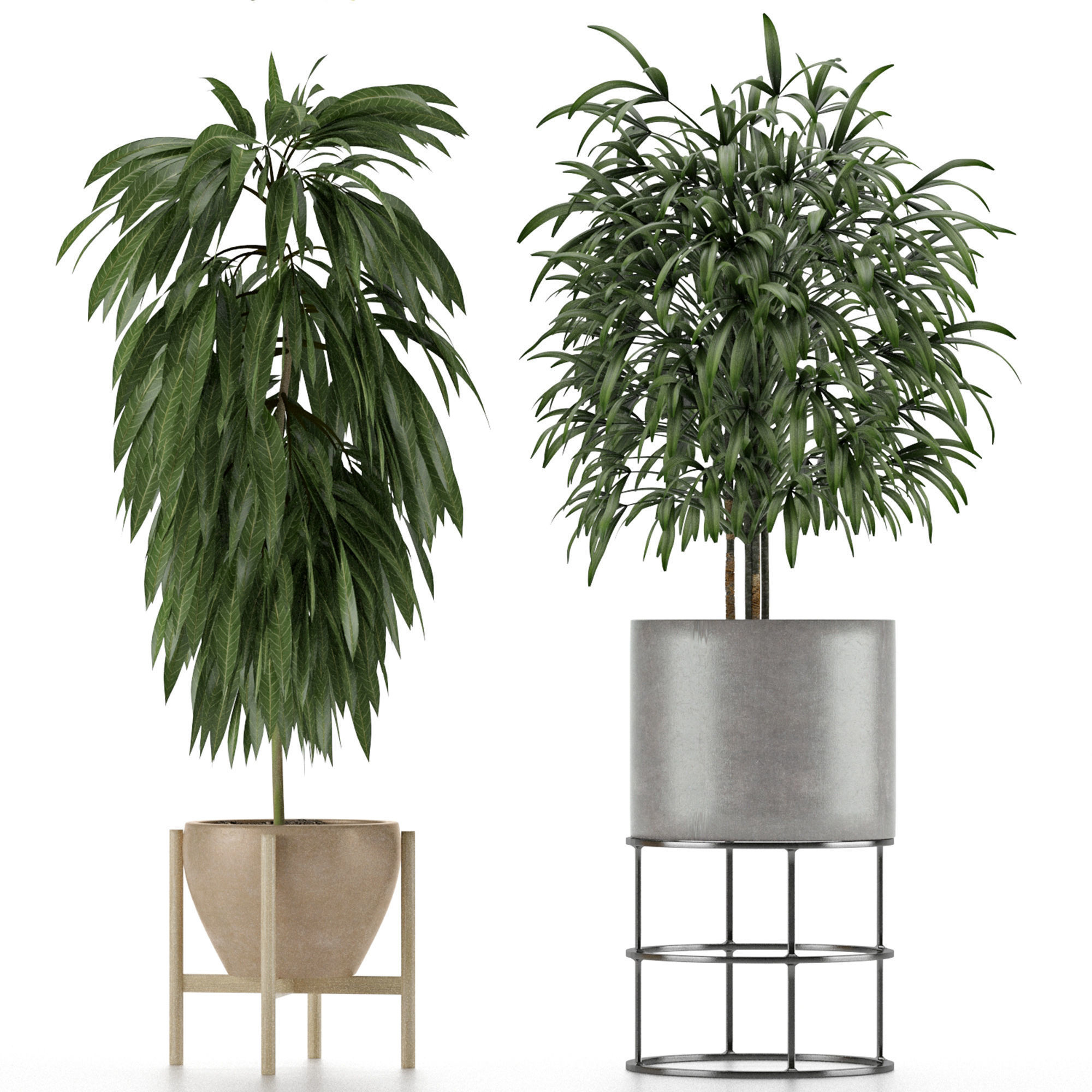 Plants Collection 12 3D model_4