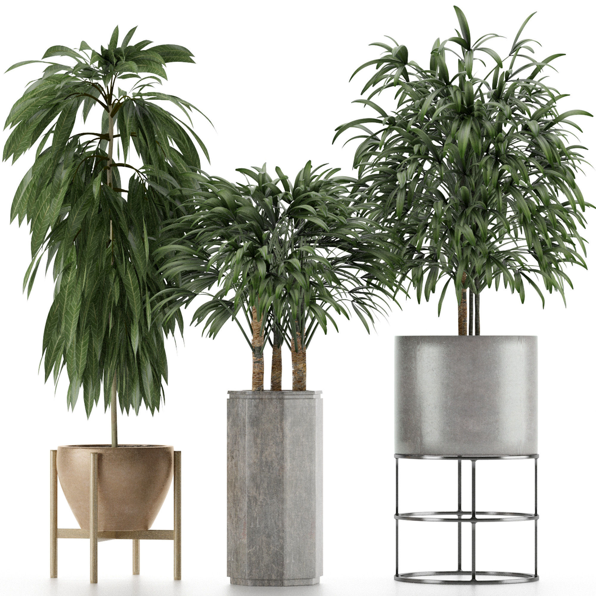 Plants Collection 12 3D model_2