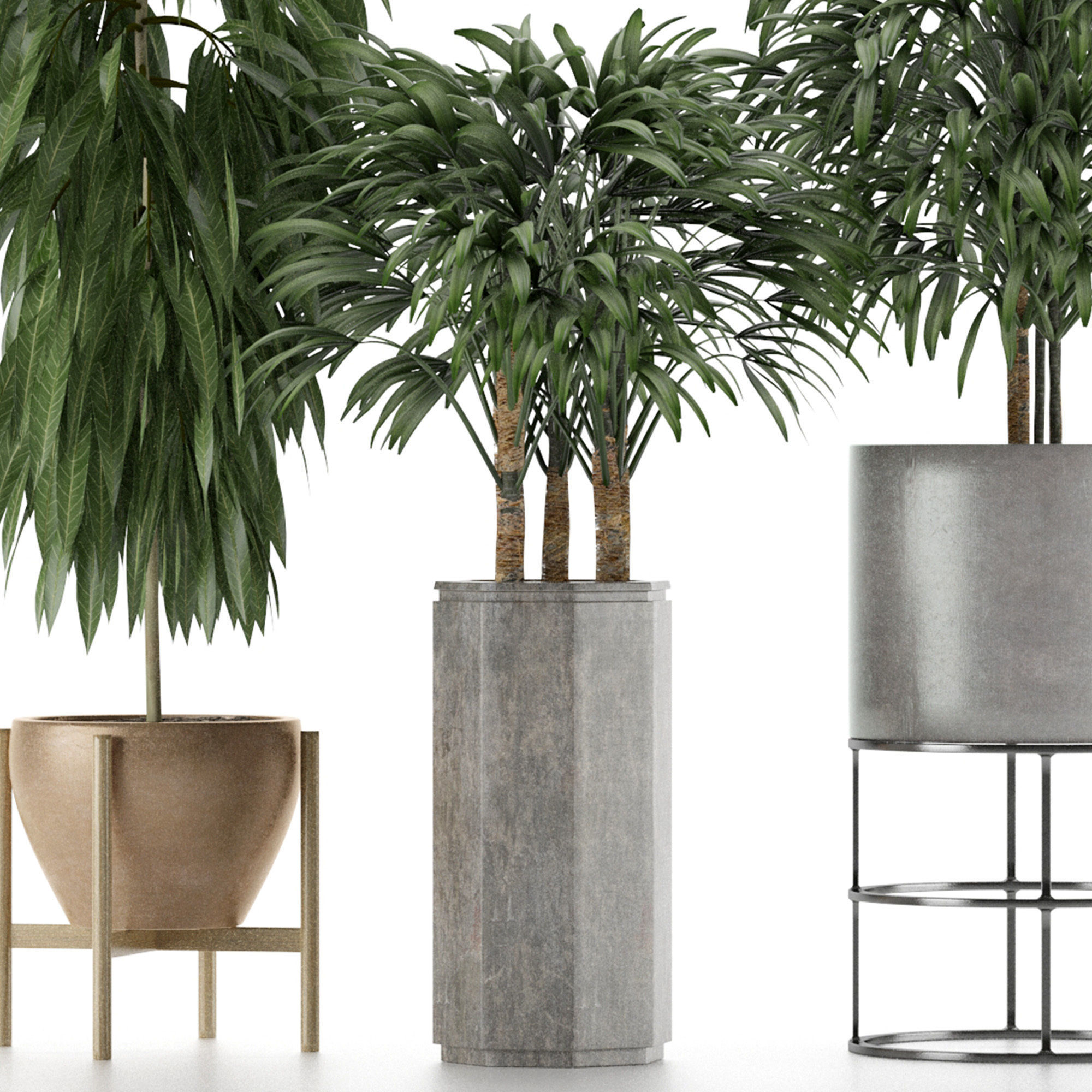 Plants Collection 12 3D model_3