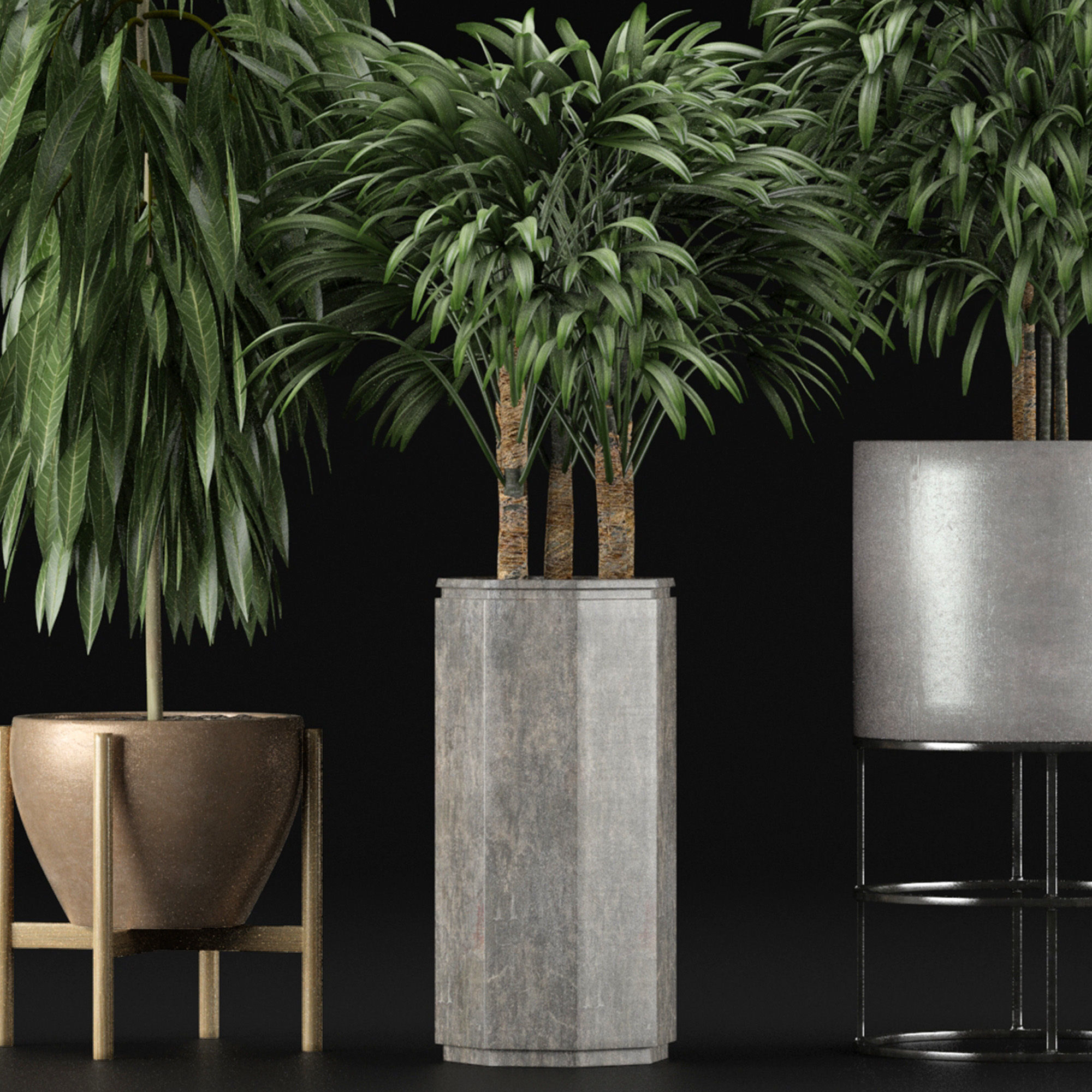 Plants Collection 12 3D model_1