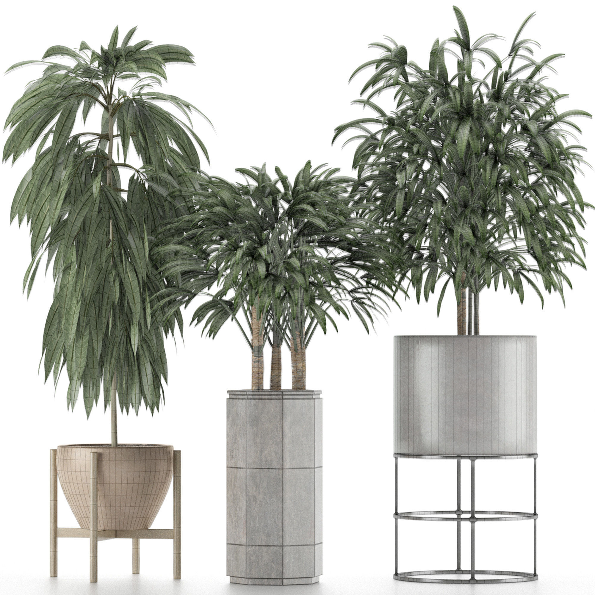 Plants Collection 12 3D model_6