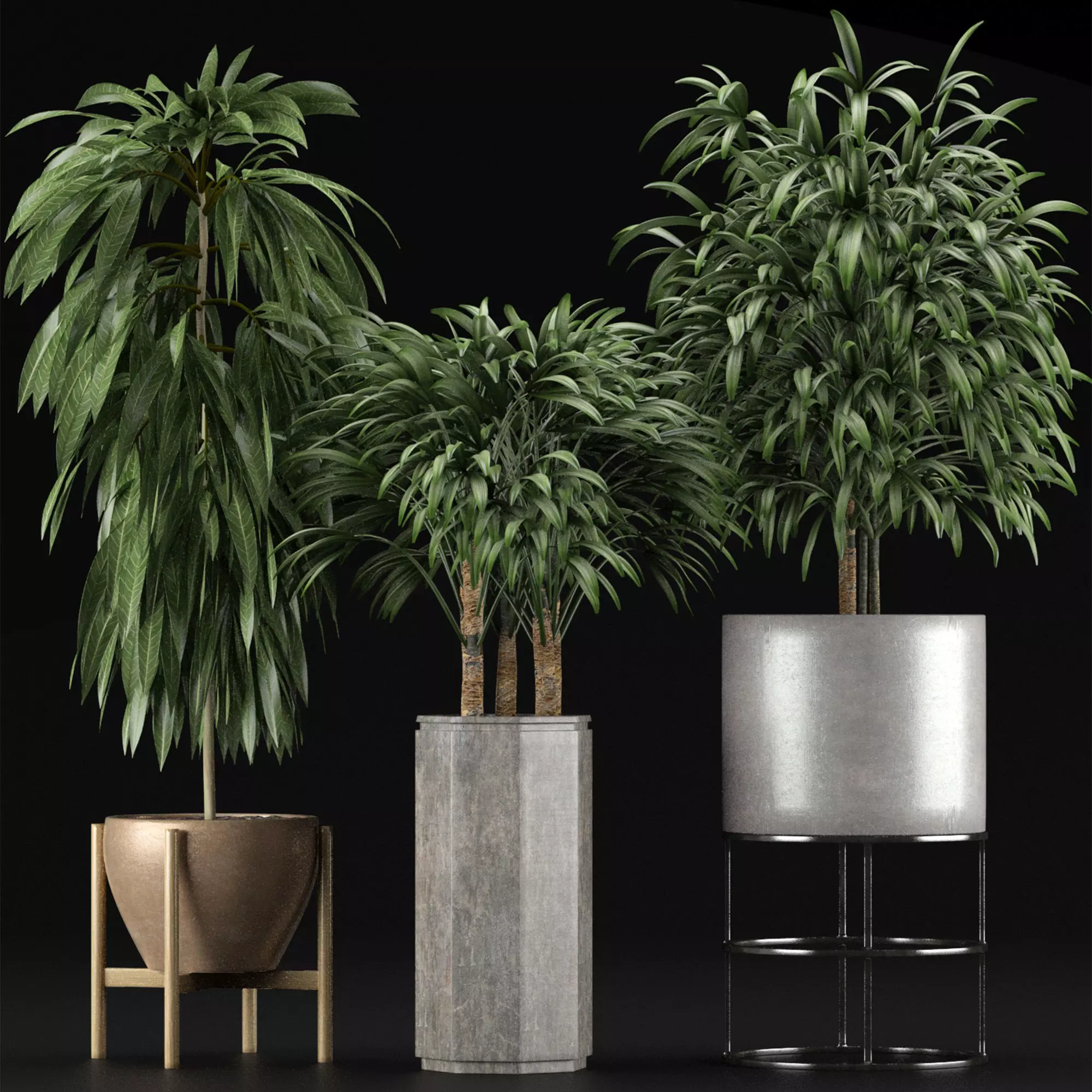 Plants Collection 12 3D model_0