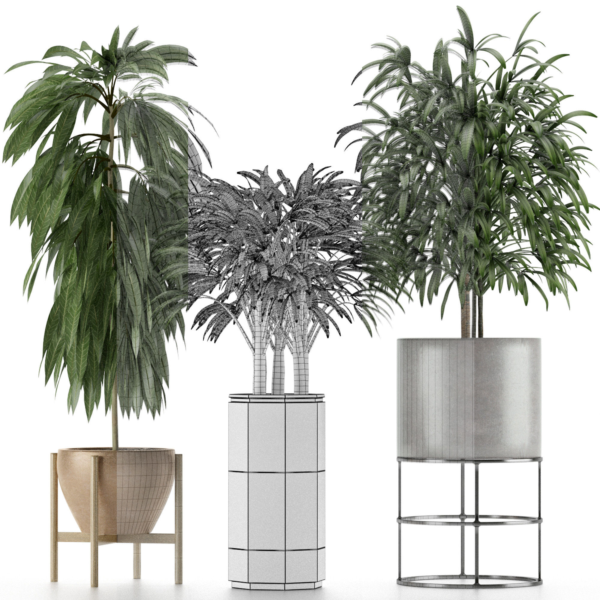 Plants Collection 12 3D model_7