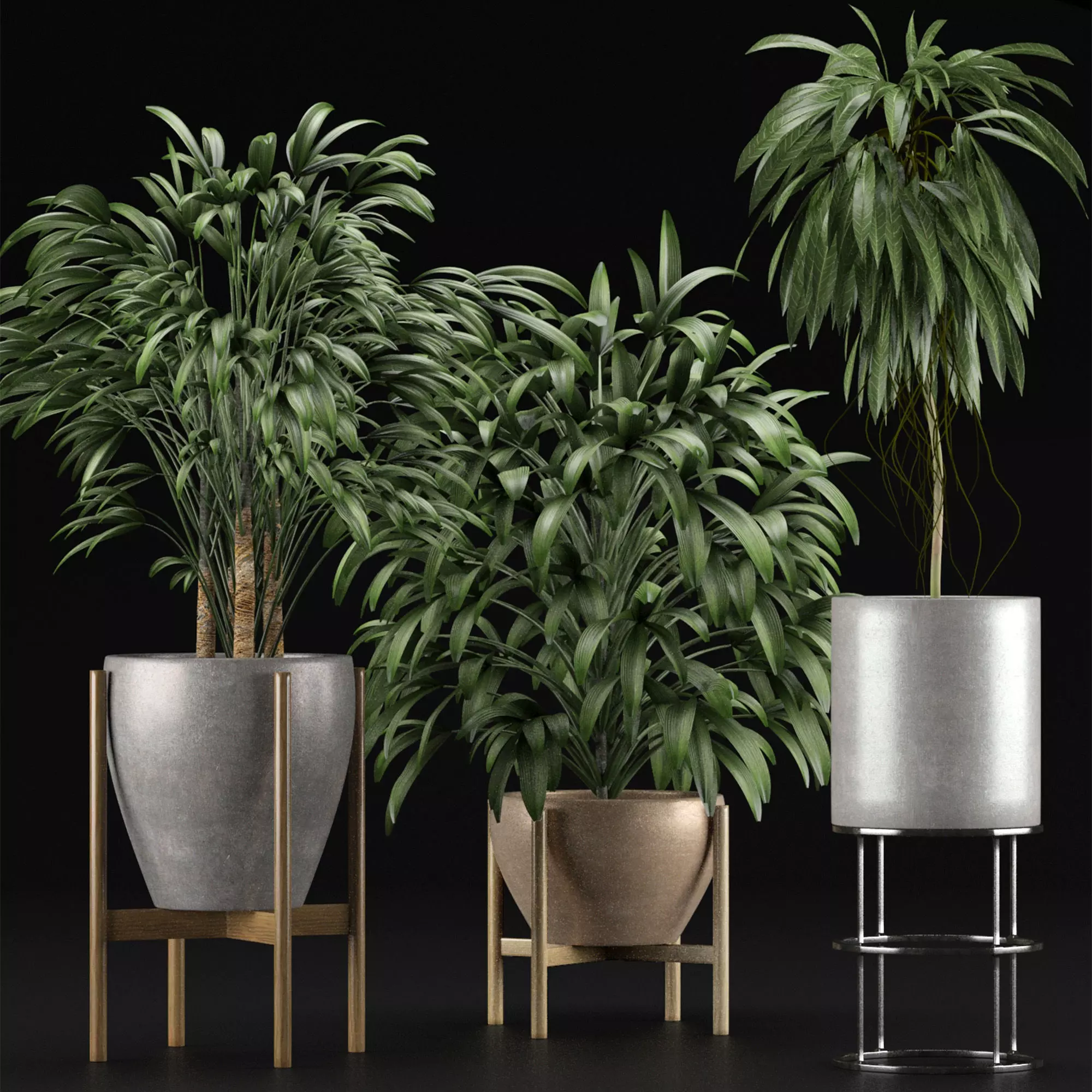 Plants Collection 13 3D model