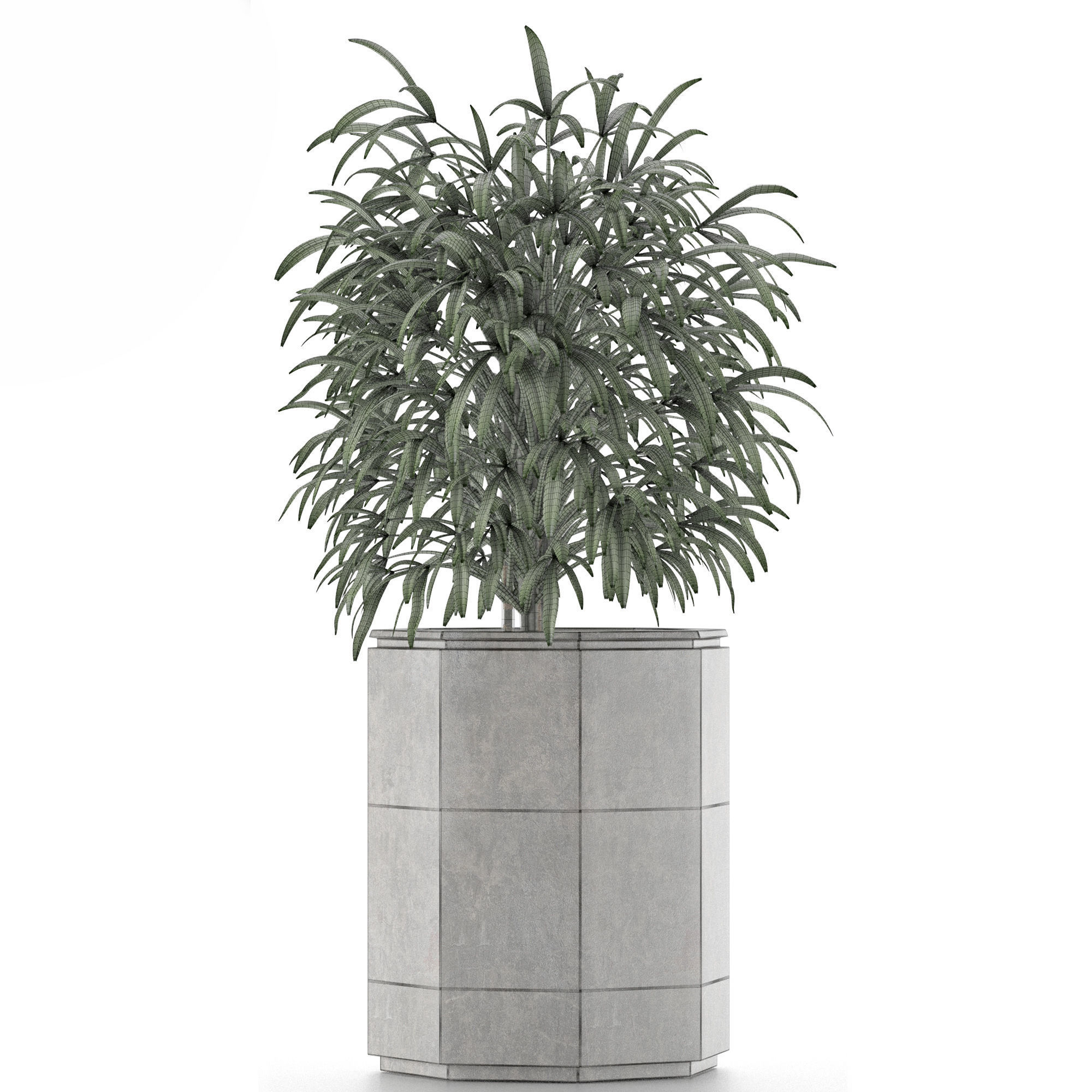 Single Plant 04 3D model_6