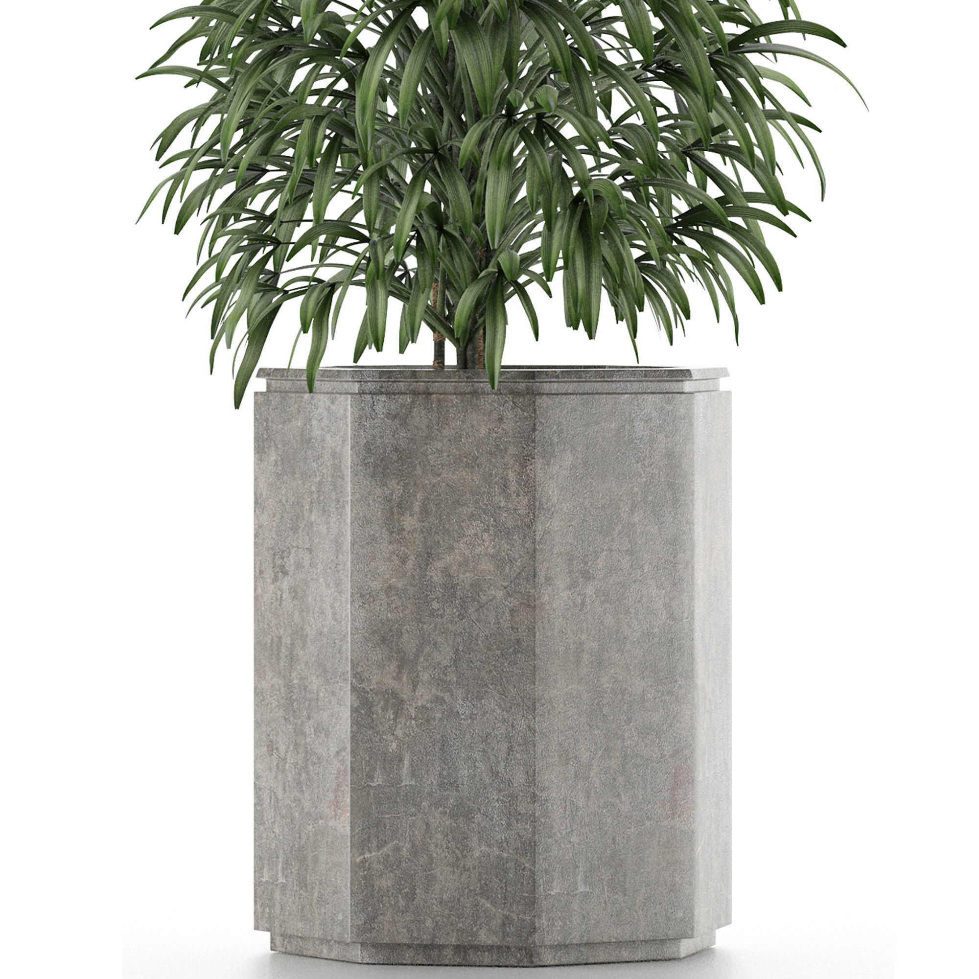 Single Plant 04 3D model_3