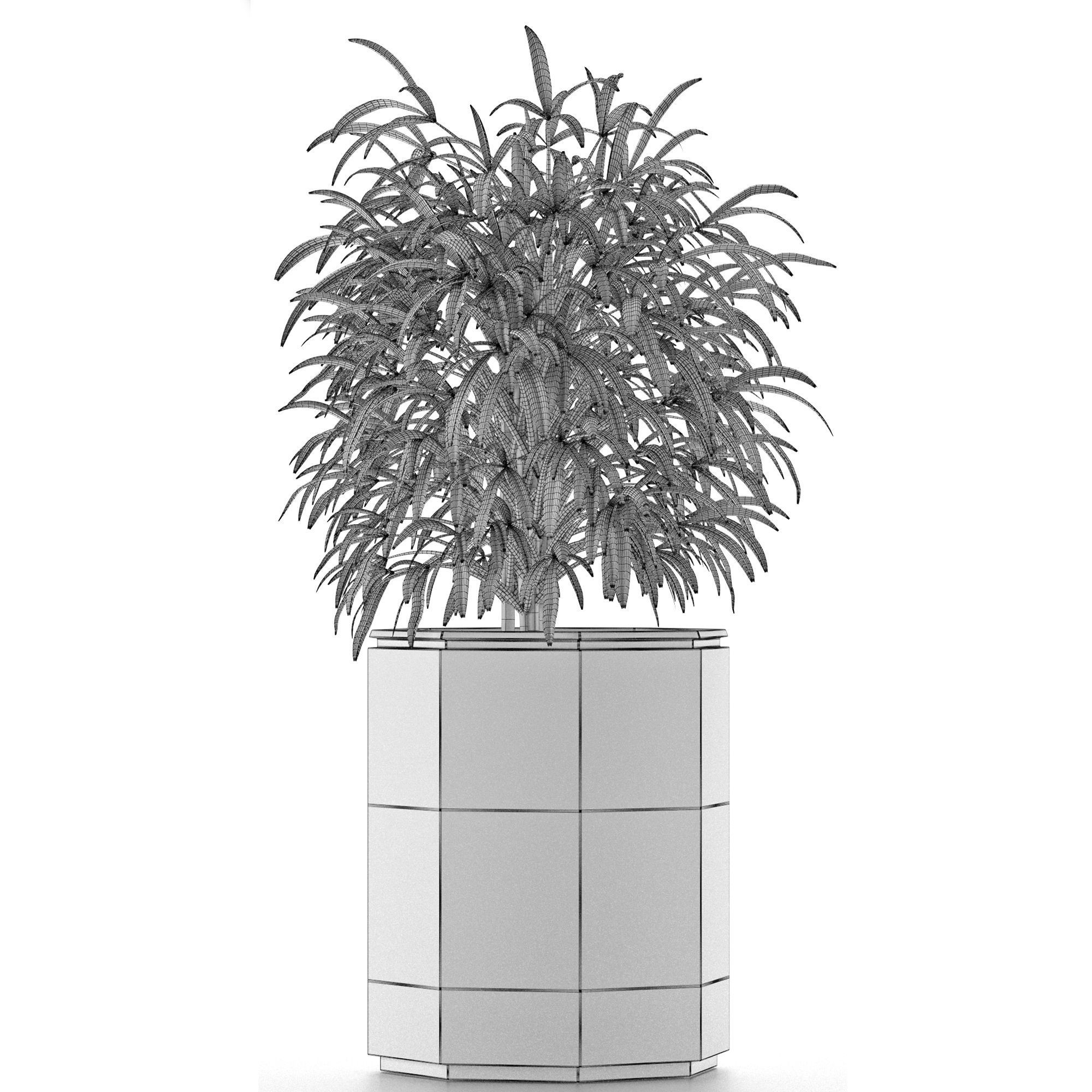 Single Plant 04 3D model_4