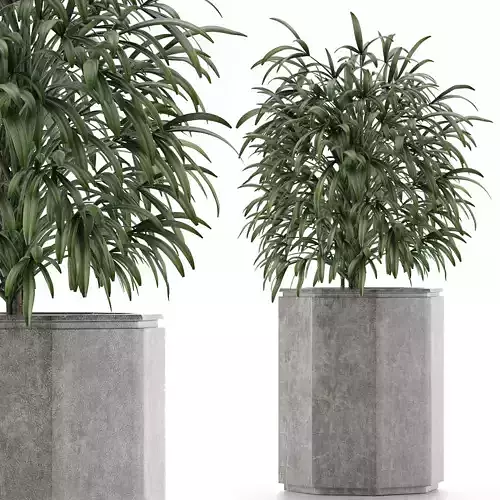 Single Plant 04 3D model