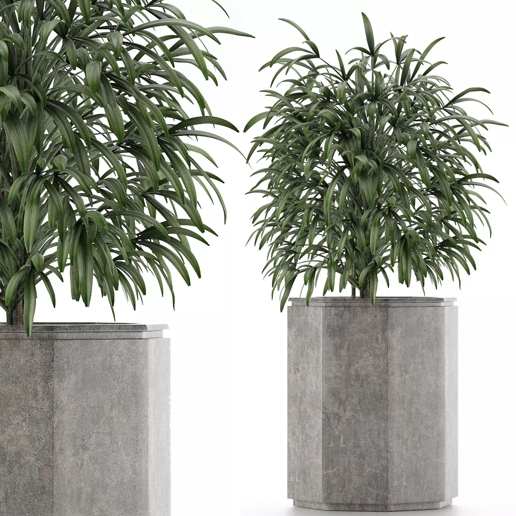 Single Plant 04 3D model_0