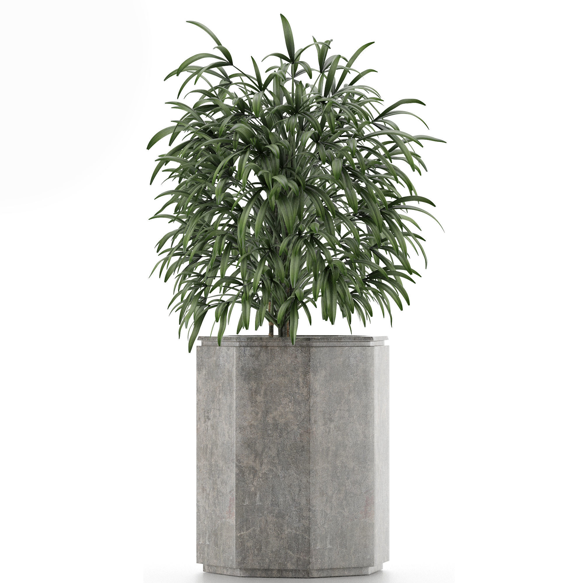 Single Plant 04 3D model_1