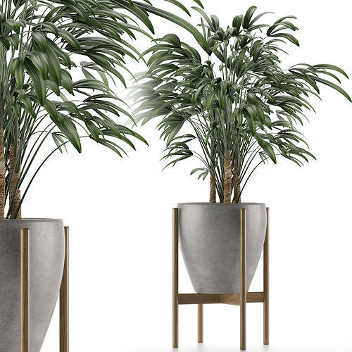 Single Plant 16 3D model