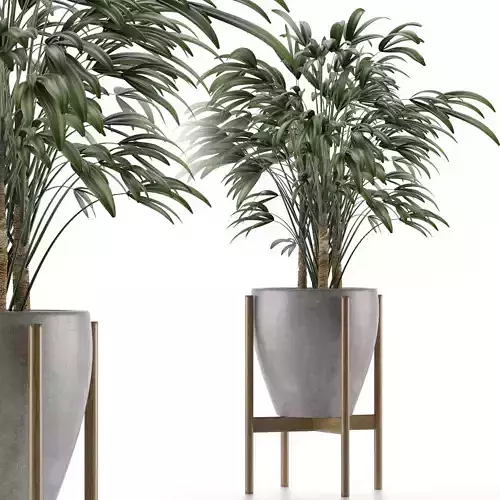 Single Plant 16 3D model