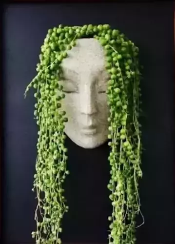 Face Woman Planter
