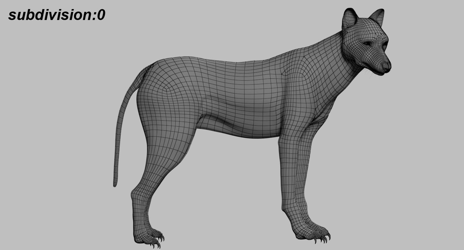 Wolf 3dmodel Animated Rigged 3D model_19