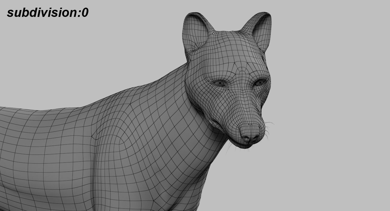 Wolf 3dmodel Animated Rigged 3D model_17