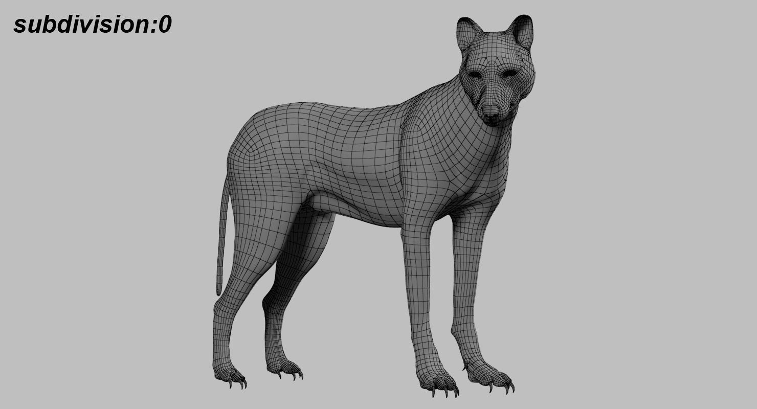 Wolf 3dmodel Animated Rigged 3D model_15