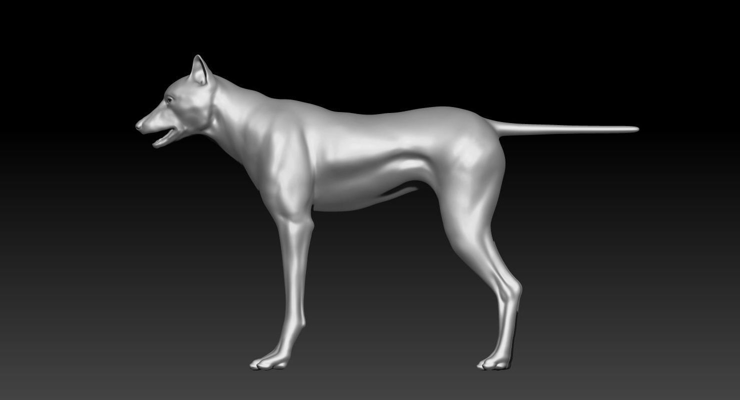 Wolf 3dmodel Animated Rigged 3D model_24