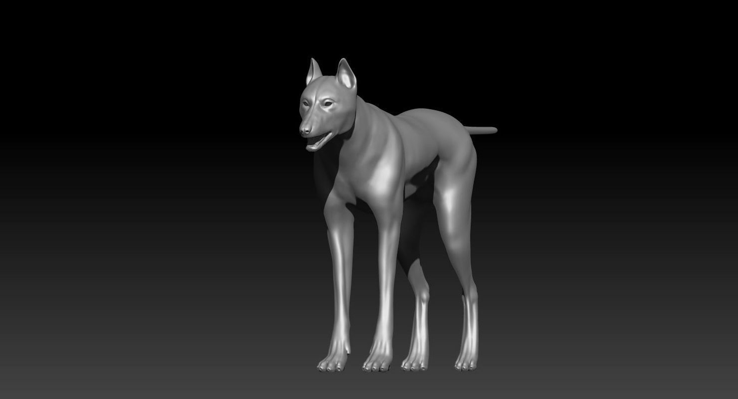 Wolf 3dmodel Animated Rigged 3D model_25