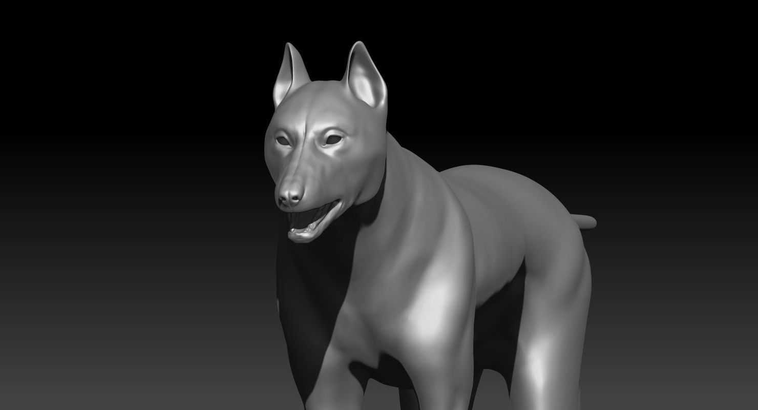 Wolf 3dmodel Animated Rigged 3D model_23