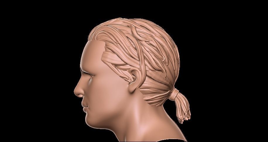 Hair ponytail 3D print model_1