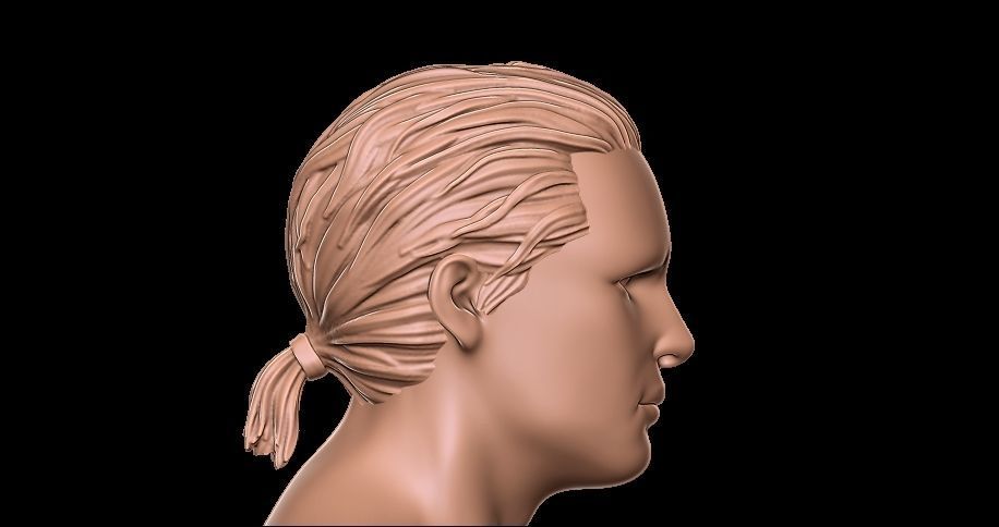 Hair ponytail 3D print model_3