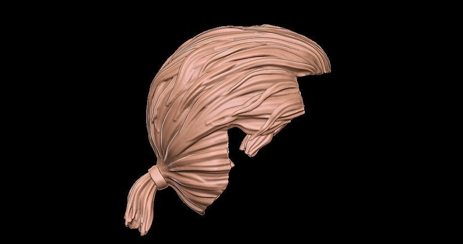 Hair ponytail 3D print model_7