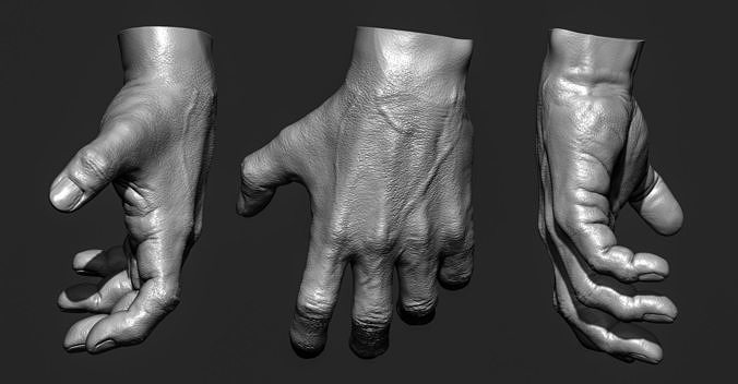 Realistic male hand Free 3D model