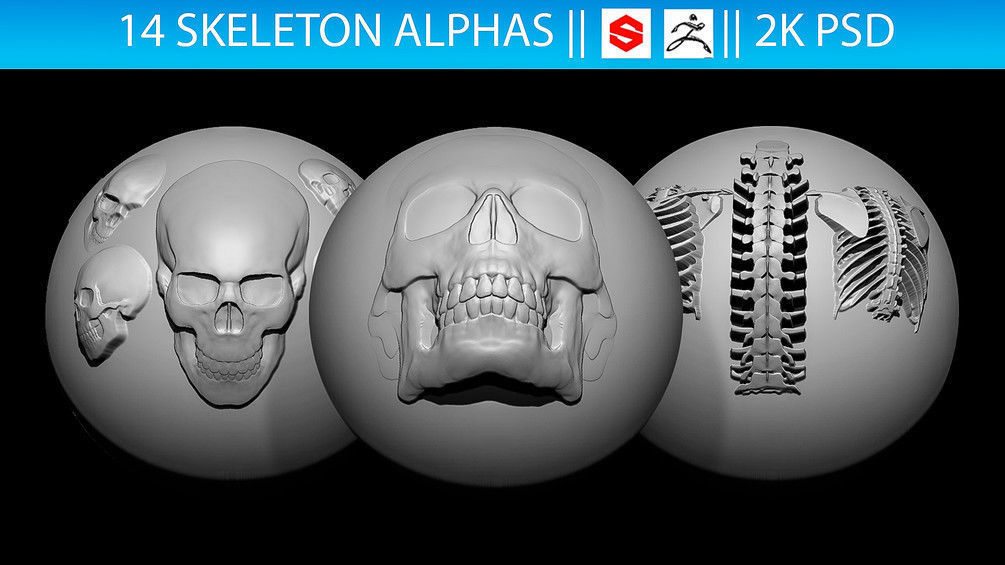 ZBRush Alphas Megapack 3D model_22