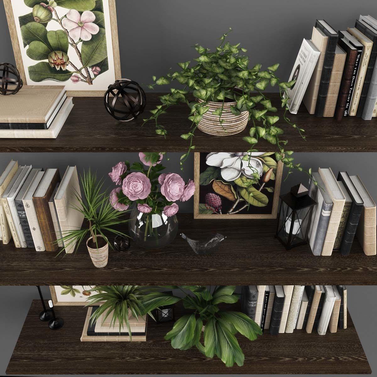 Decorative set bookshelves with plants and books Low-poly 3D model_1