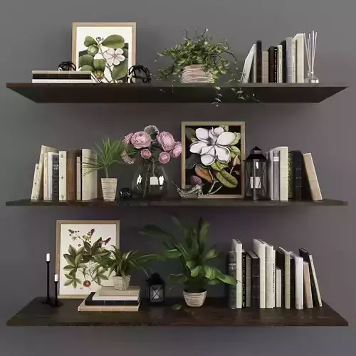 Decorative set bookshelves with plants and books Low-poly 3D model