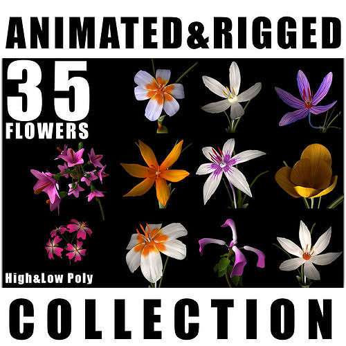ANIMATED FLOWERS COLLECTION 3D model