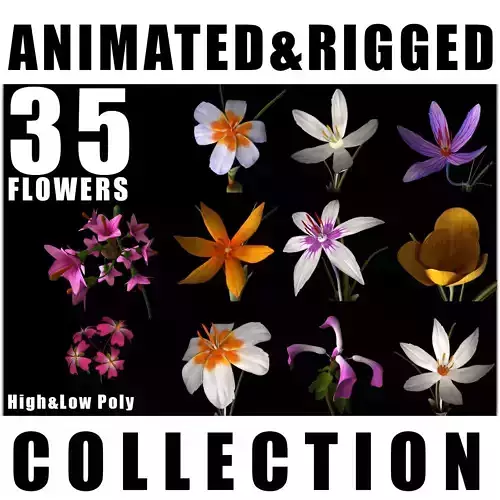 ANIMATED FLOWERS COLLECTION 3D model