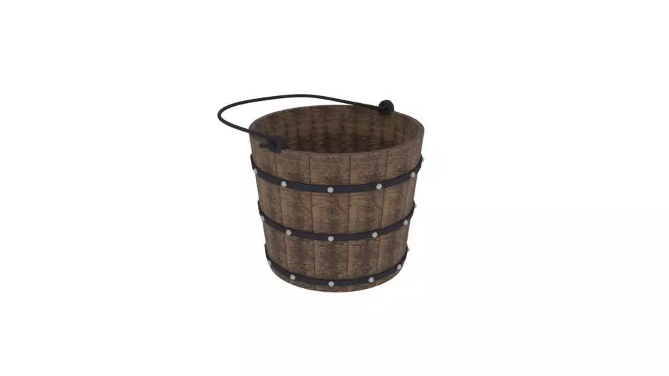 Old Bucket Free 3D model