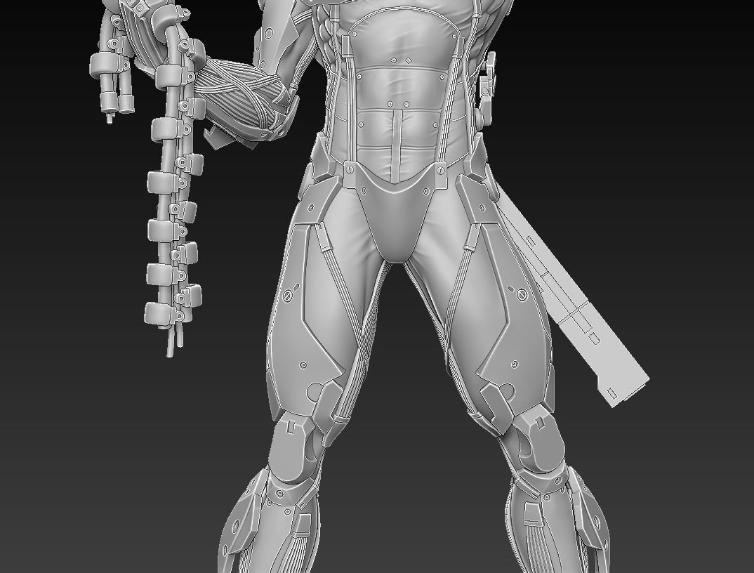 Raiden Statue from Metal Gear Rising 3D PRINTABLE 3D print model_12