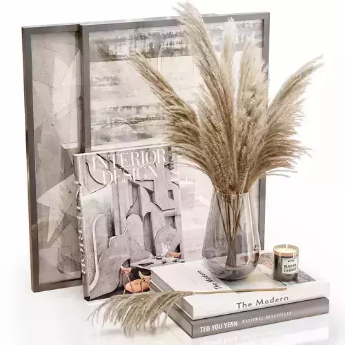 Decor set 20 Pampas grass