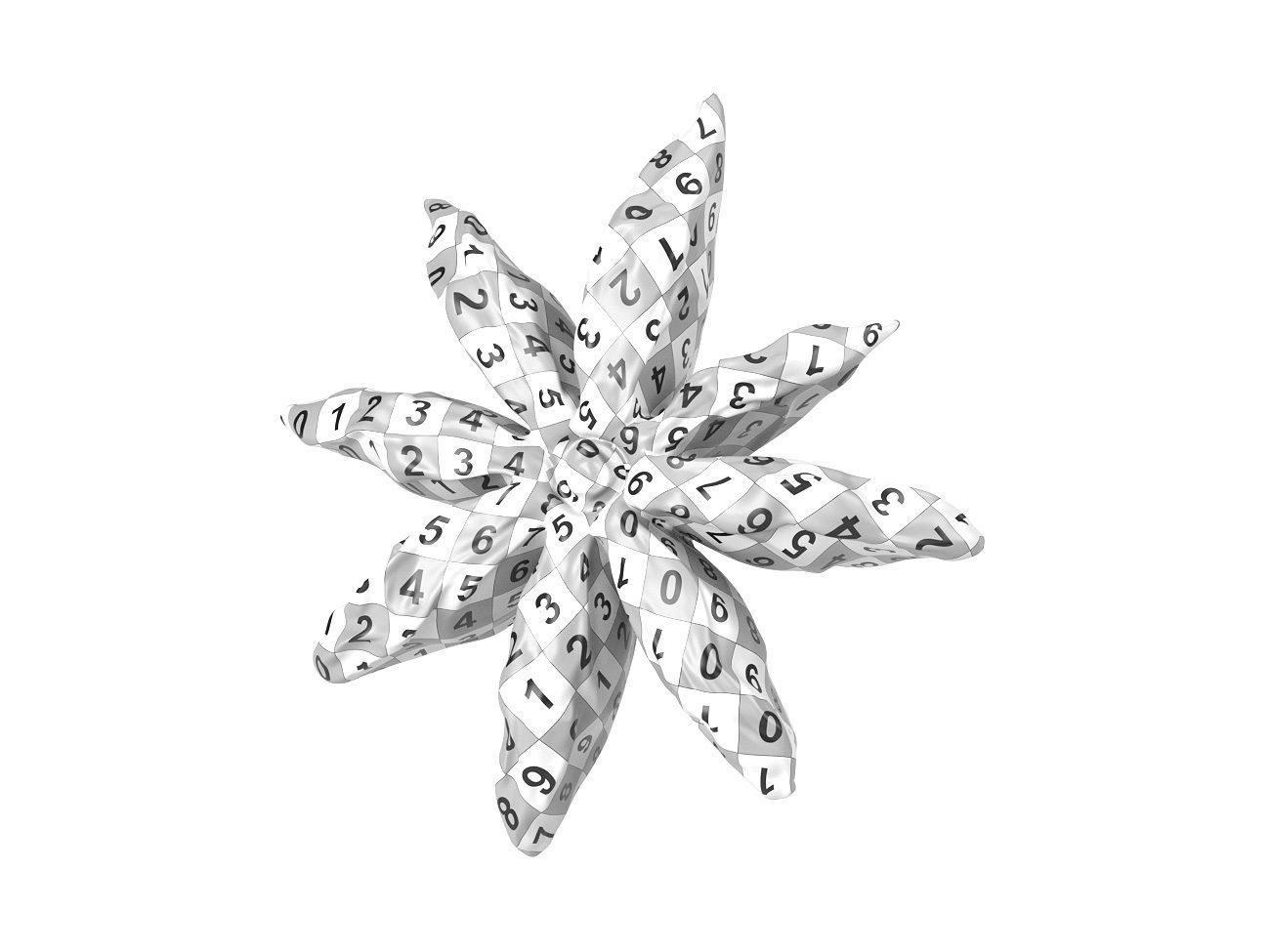 Photorealistic Star Anise 3D Scan 3D model_8